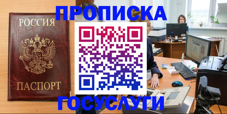 где прописаться в Камышлове